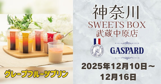 SWEETS BOX武蔵中原店にガスパールザンザン出店！お土産に人気のグレープフルーツプリンを販売